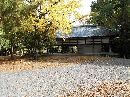 DSCN8233.jpg