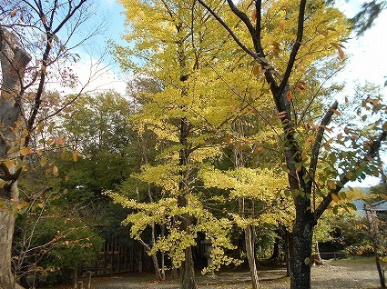 DSCN8234.jpg