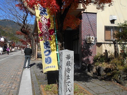 DSCN8245.jpg