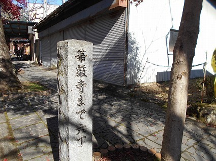 DSCN8248.jpg