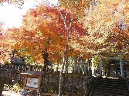 DSCN8252.jpg