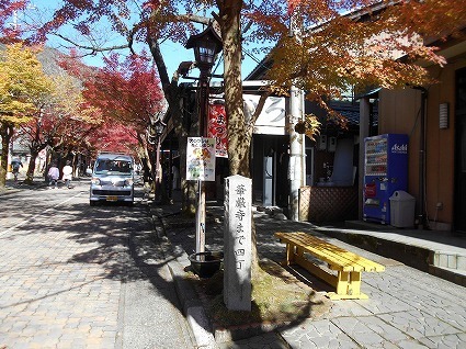 DSCN8253.jpg