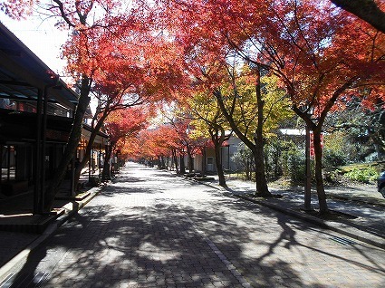 DSCN8258.jpg