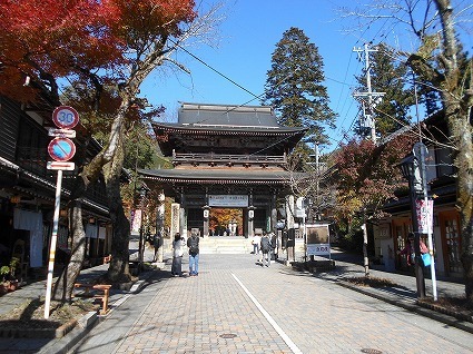 DSCN8260.jpg