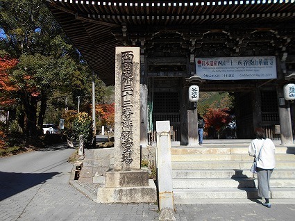 DSCN8261.jpg