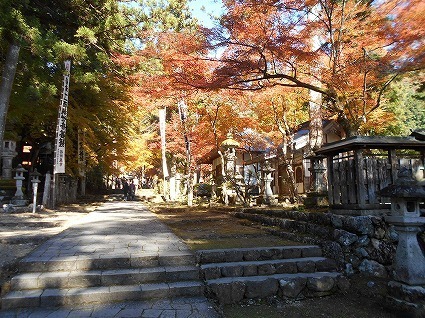 DSCN8262.jpg