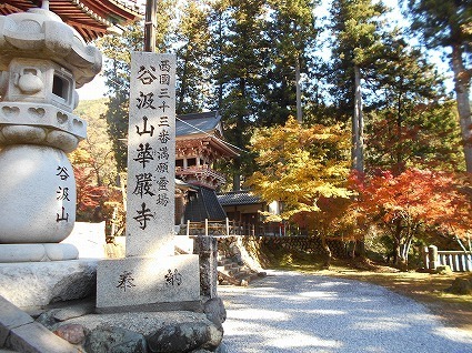 DSCN8265.jpg