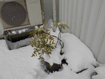 DSCN8299.jpg