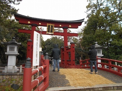 DSCN8313.jpg