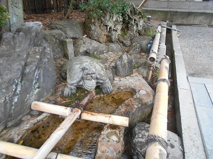 DSCN8314.jpg