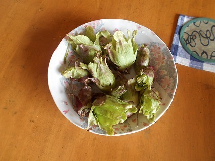 DSCN8334.jpg
