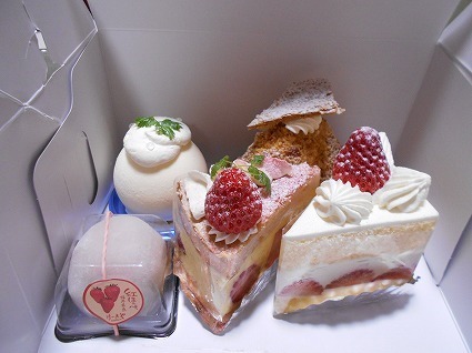 DSCN8342.jpg