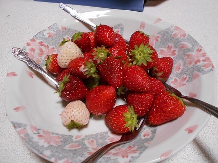 DSCN8343.jpg