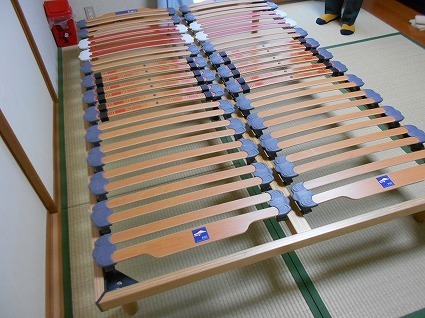 DSCN8348.jpg