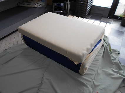 DSCN8350.jpg
