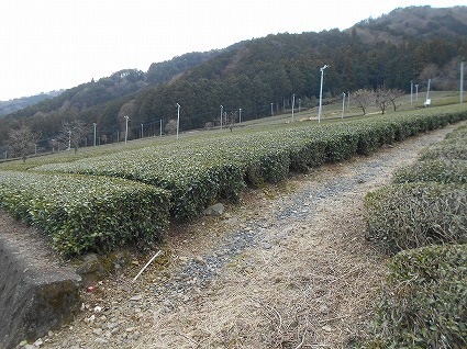 DSCN8354.jpg