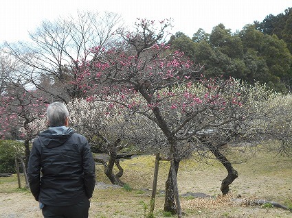 DSCN8360.jpg