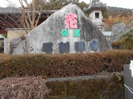 DSCN8362.jpg