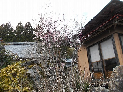 DSCN8363.jpg