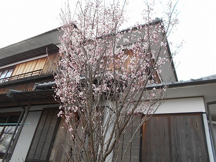 DSCN8364.jpg