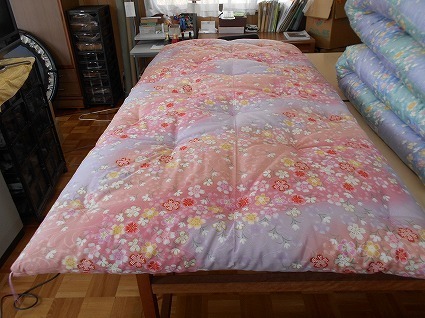 DSCN8395.jpg