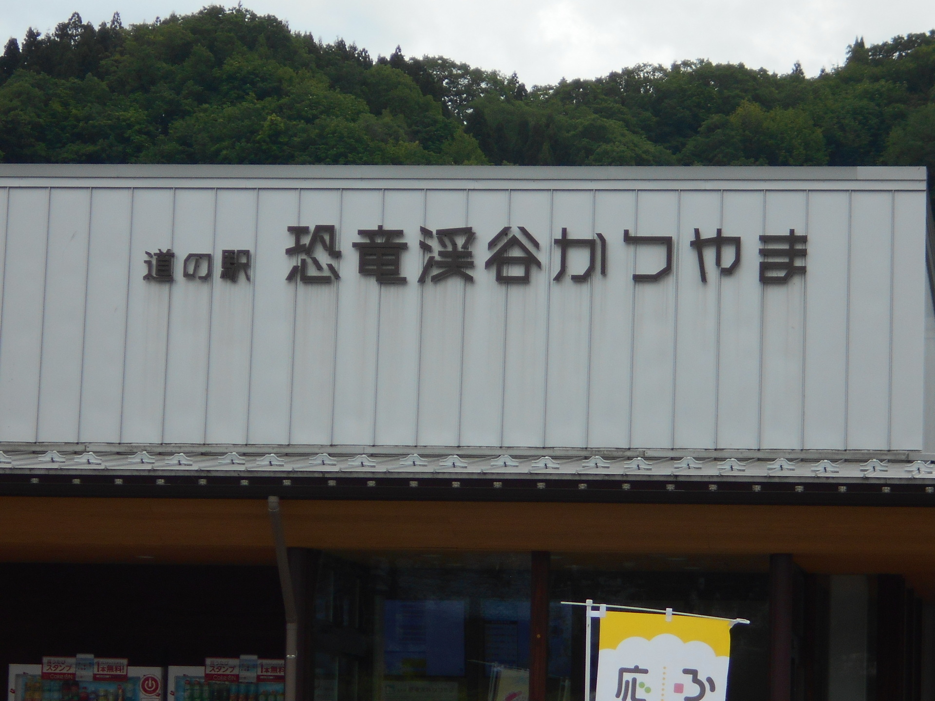 DSCN8404.JPG