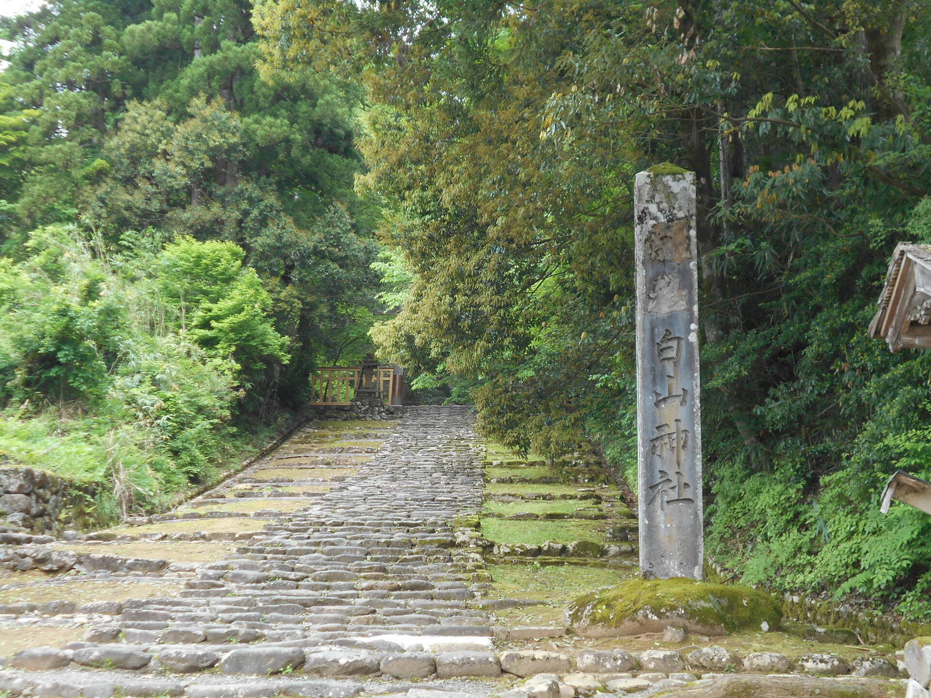 DSCN8410.JPG