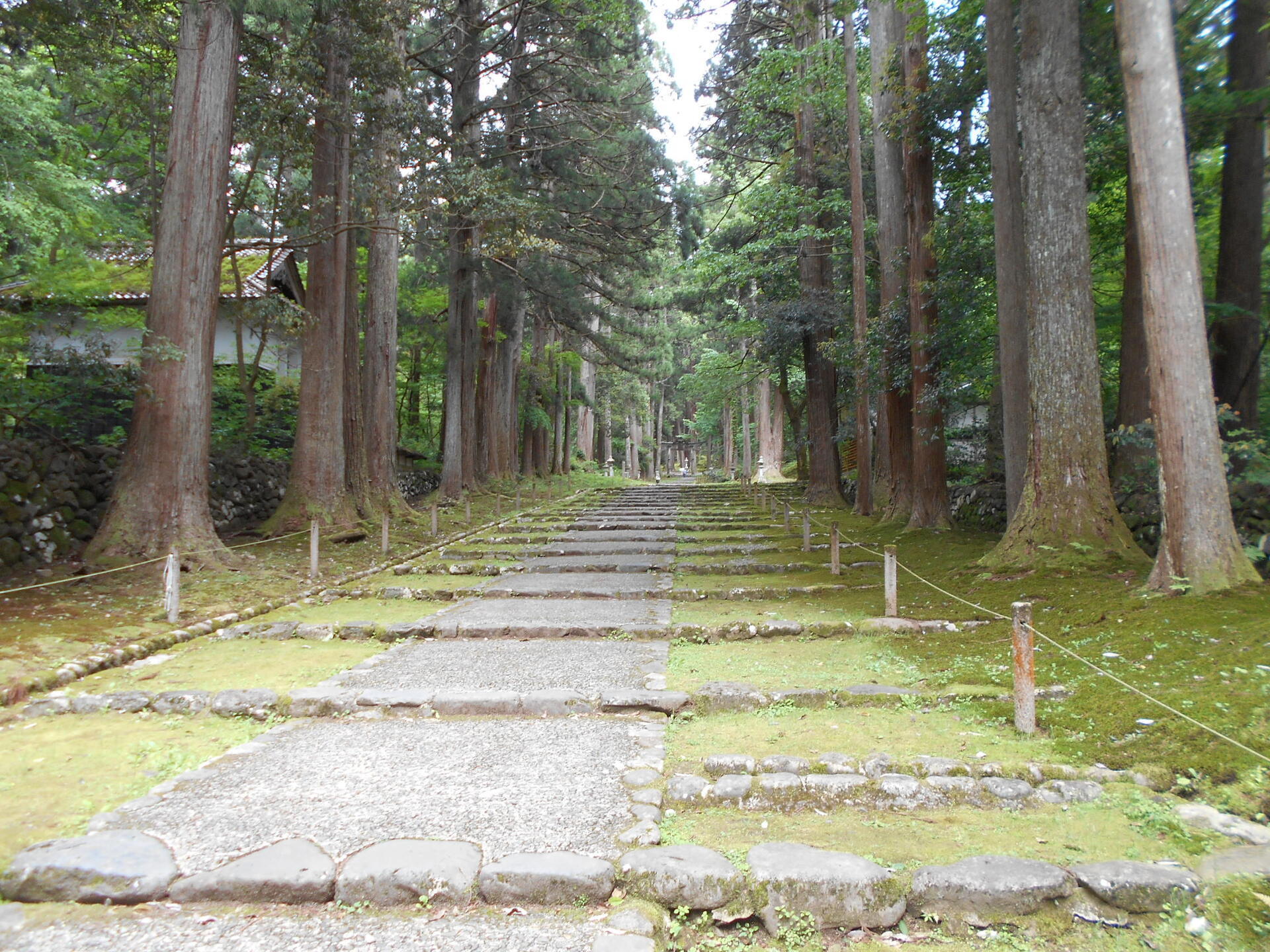 DSCN8411.JPG