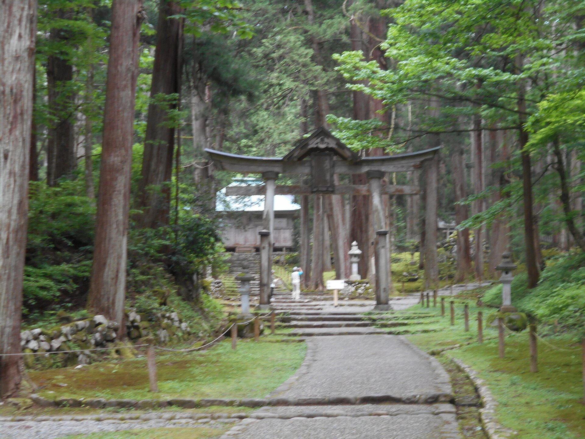 DSCN8412.JPG