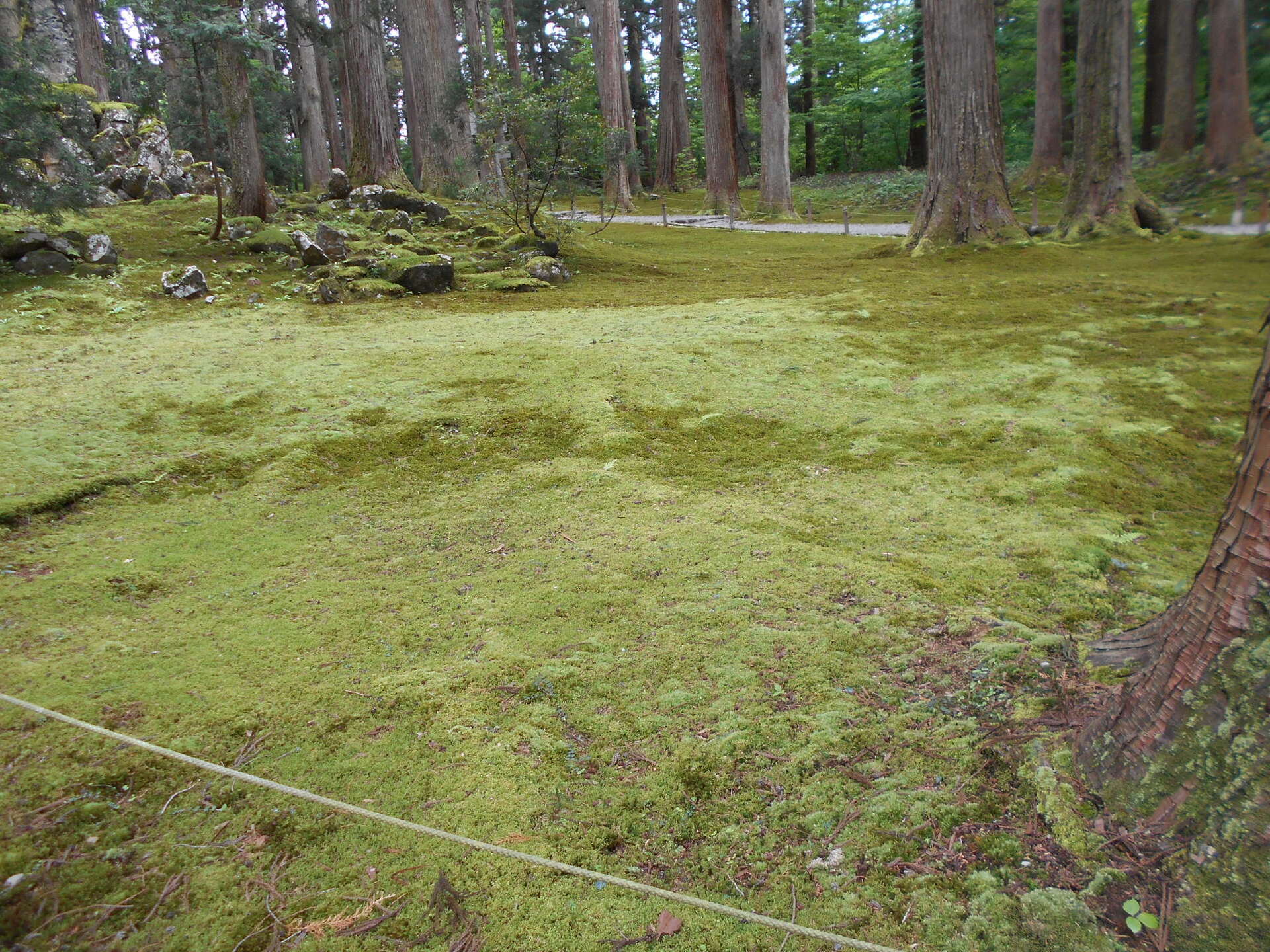 DSCN8415.JPG