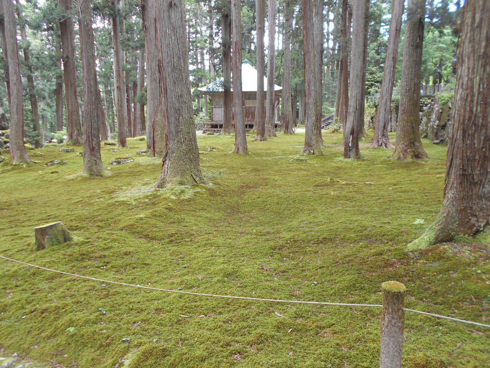 DSCN8416.JPG